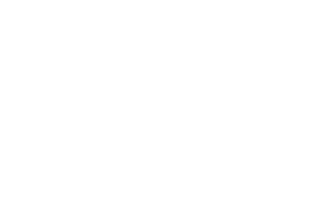 Mega Cheques Logo